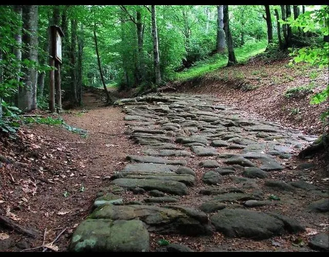 Via Degli Dei Valserena